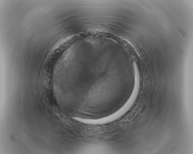 X0000115130919200911101644