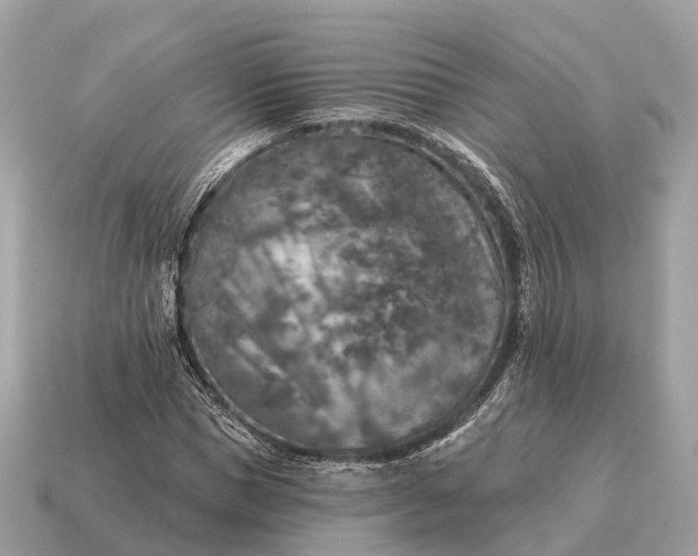 X0000115130921200911101644