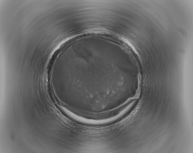 X0000115130923200911101644