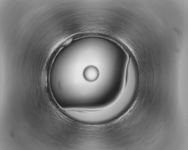 X0000115130925200911101644