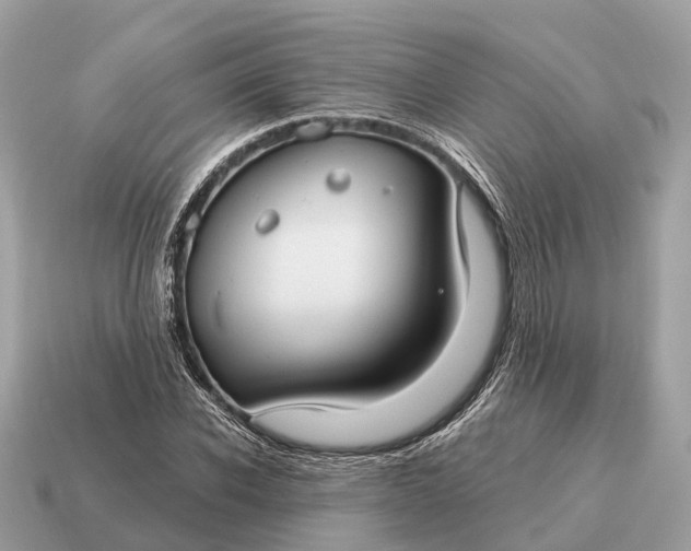 X0000115130926200911101644