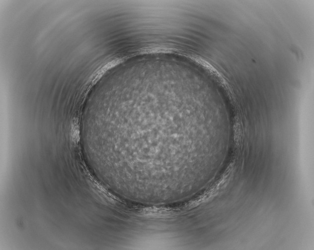 X0000115130929200911101644
