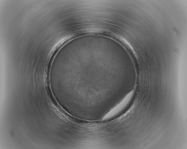 X0000115130930200911101644