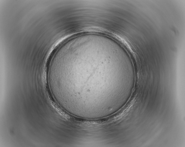 X0000115130931200911101644