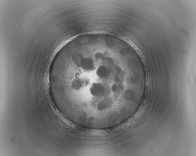 X0000115130933200911101644