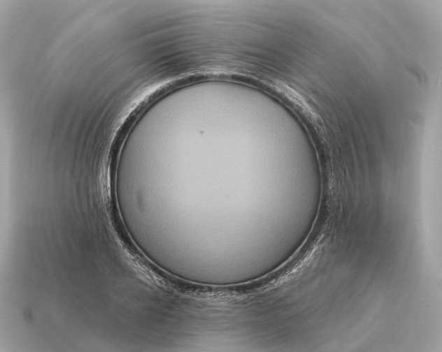 X0000115130934200911101644