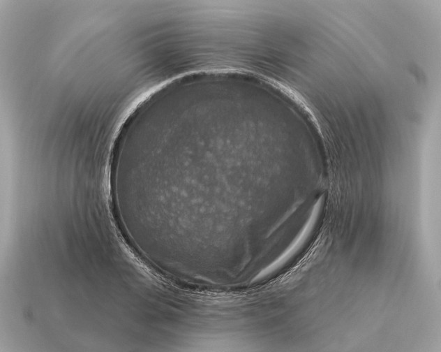 X0000115130935200911101644