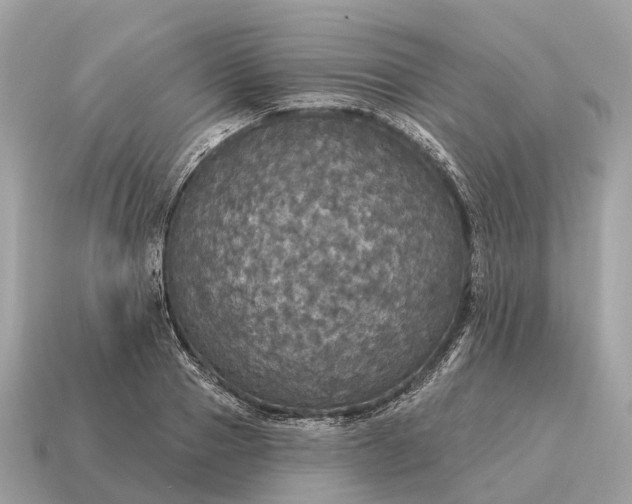 X0000115130937200911101644
