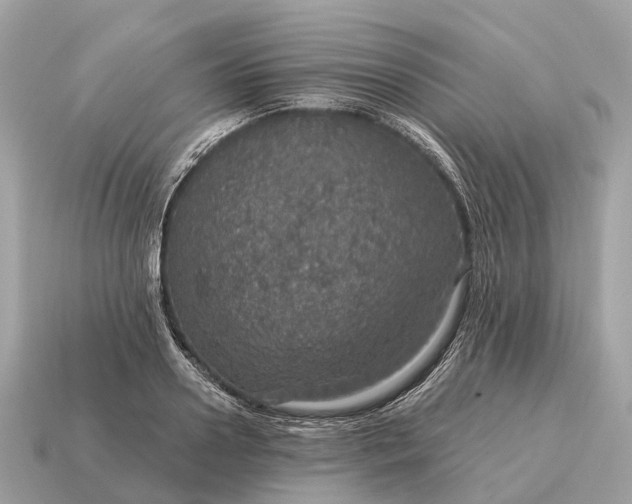 X0000115130938200911101644