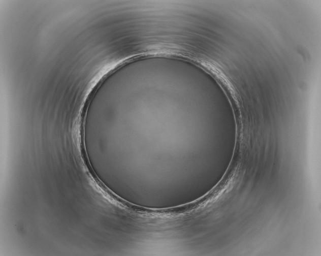 X0000115130941200911101644