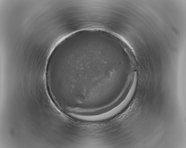 X0000115130943200911101644