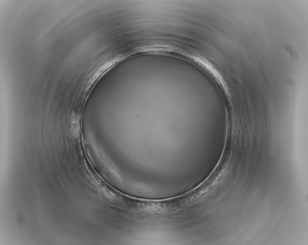 X0000115130945200911101644
