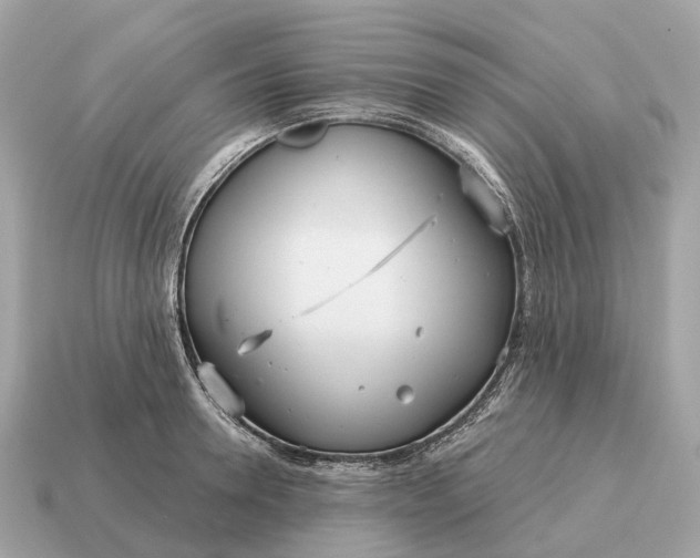 X0000115130946200911101644