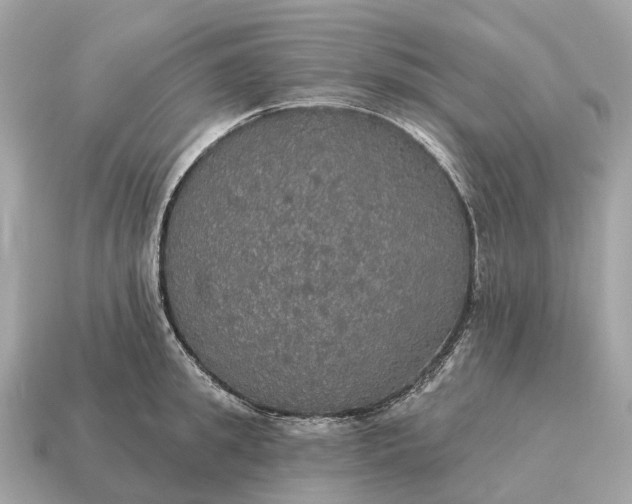 X0000115130949200911101644