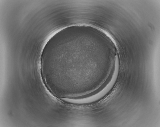 X0000115130951200911101644