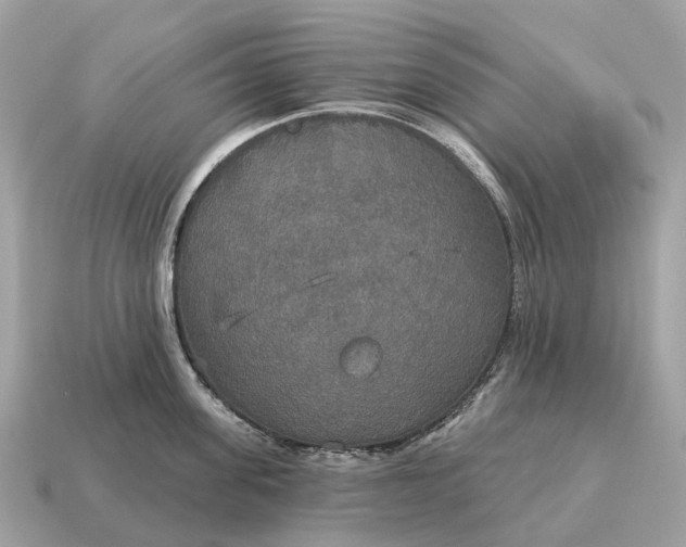 X0000115130955200911101644