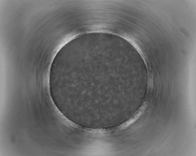 X0000115130957200911101644