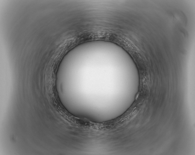 X0000115130961200911101644