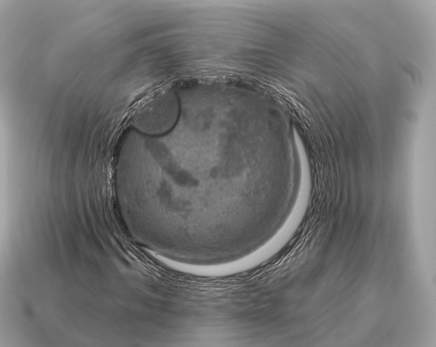 X0000115130964200911101644