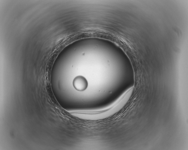 X0000115130965200911101644