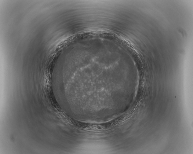 X0000115130966200911101644
