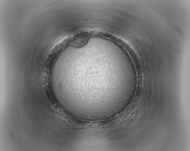 X0000115130967200911101644