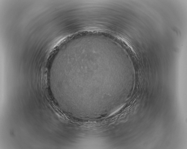 X0000115130968200911101644