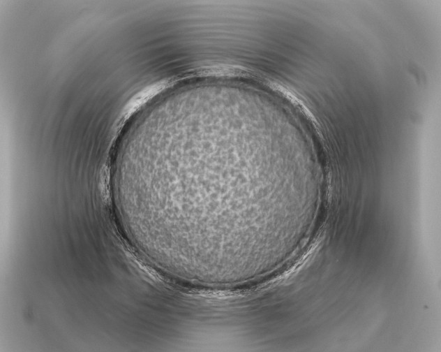 X0000115130970200911101643