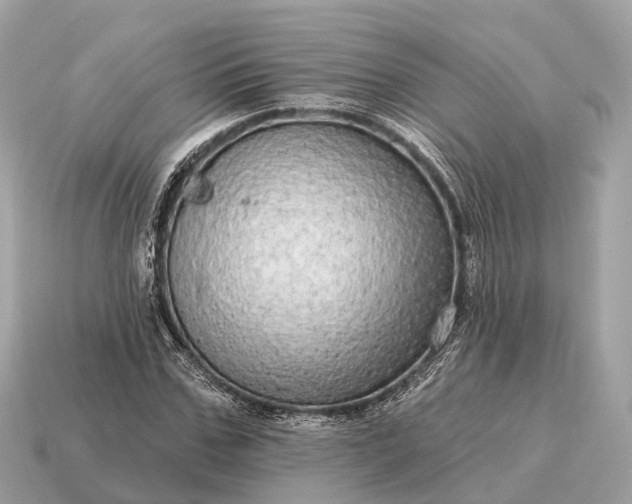 X0000115130971200911101643