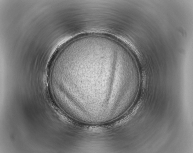 X0000115130974200911101643