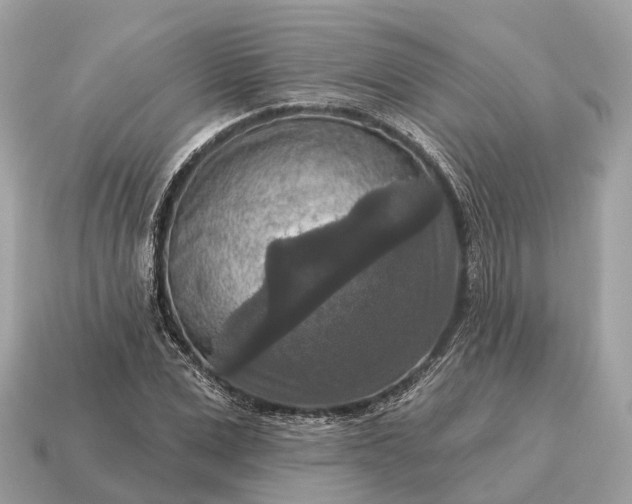 X0000115130975200911101643