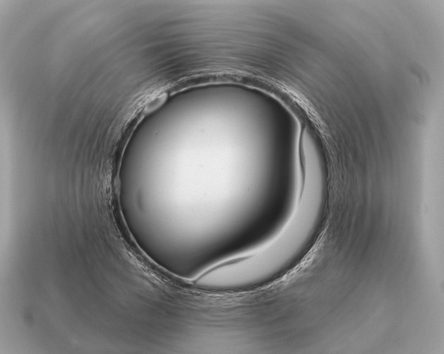 X0000115130977200911101643