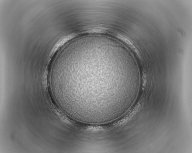 X0000115130978200911101643
