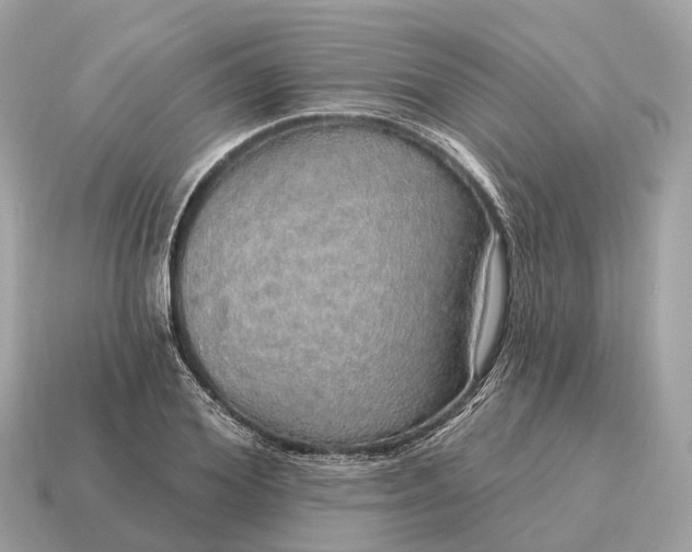 X0000115130980200911101643