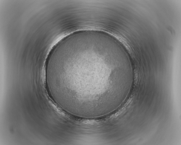 X0000115130982200911101643