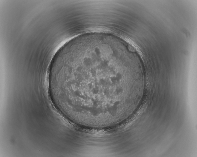 X0000115130983200911101643