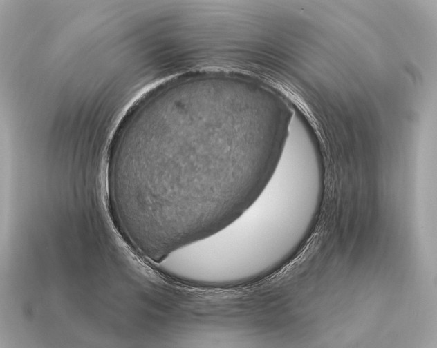 X0000115130984200911101643