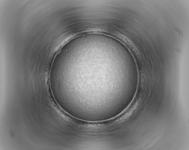 X0000115130985200911101643