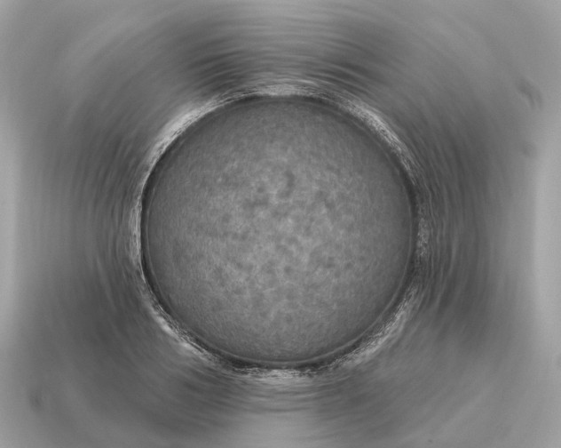 X0000115130986200911101643