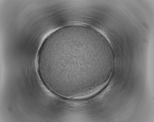 X0000115130987200911101643