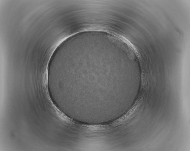 X0000115130988200911101643