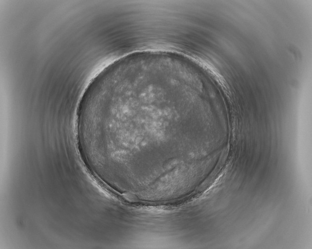 X0000115130990200911101643