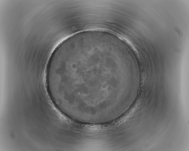X0000115130991200911101643