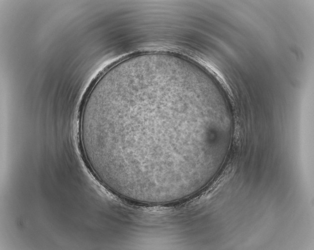 X0000115130992200911101643