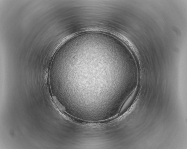 X0000115130993200911101643