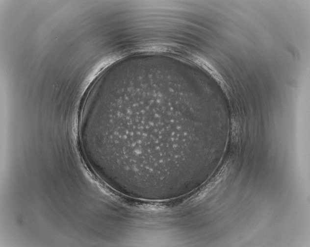 X0000115130994200911101643