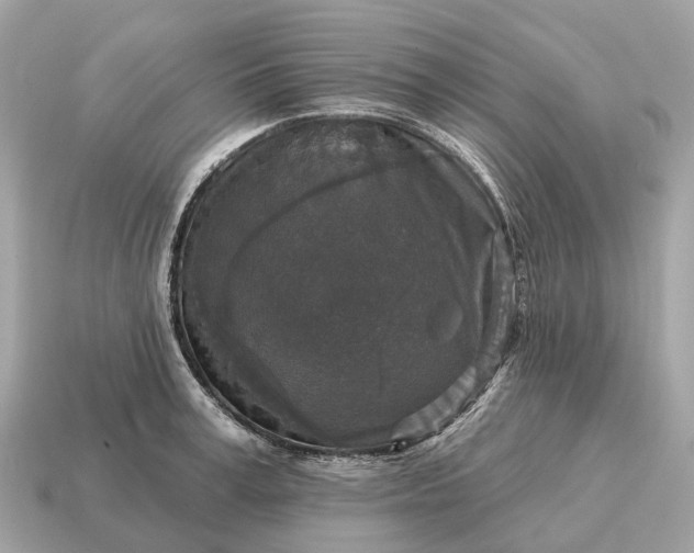 X0000115130995200911101643
