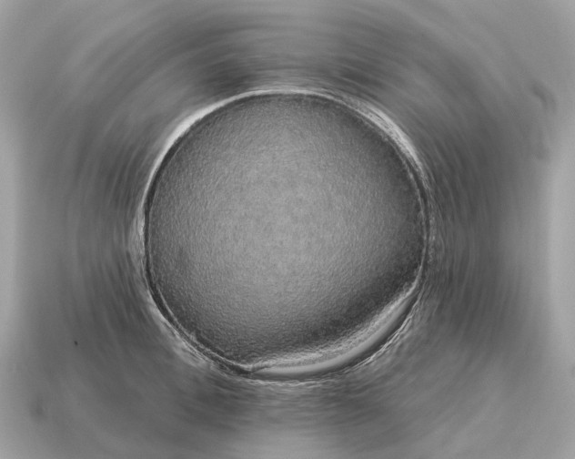 X0000115130996200911101643