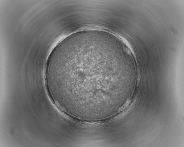X0000115130997200911101643
