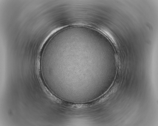 X0000115131000200911101643